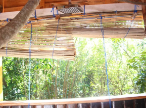 Tree House-Midigama