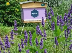 Kyriad Angouleme Nord - Champniers