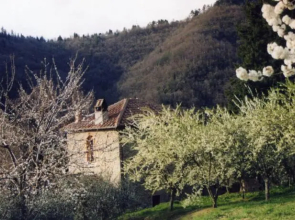 Agriturismo Luce