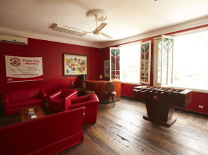 Flying Dog Backpackers Hostel