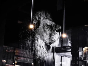 Hotel Belmont Classic