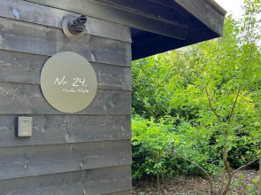 Holiday Home in Rheezerveen With Sauna