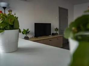 Modern 1 Bedroom Apartment In Bucharest Center!