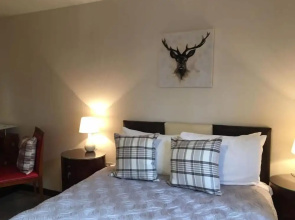 Wren 5-Hot Tub-Woodland Lodges-Pembrokshire-Tenby