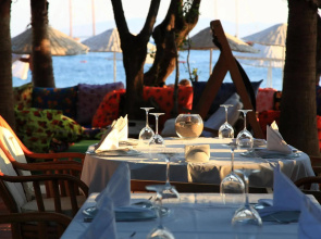 Okaliptus Hotel