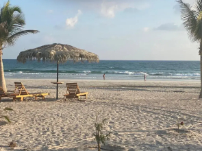 Segal Salalah-Forest Island-Hawana