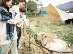 Tsuru BASE - Vacation STAY 12709v