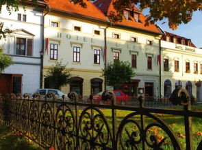 Hotel U Leva
