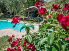 Villa Poggio 8