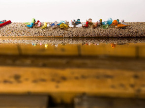 Lanterna di Marco Polo