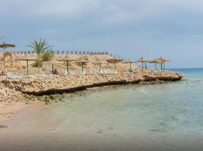 Oonas Dive Club