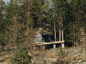 Вили Улей Карелия