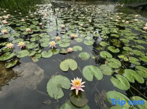 Watermark Promenade · Riverside Charm & Peak View Vacation Villa (Lijiang River Branch)
