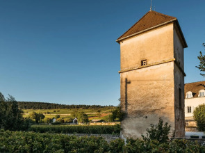 Hôtel Le Clos du Colombier 1817 Vignes & Spa