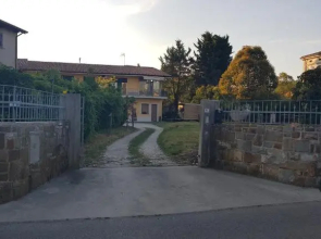 Sunny's House