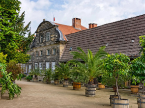 Holiday Home in the Harz Mountains With Terrace