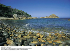 Saltwater Apartments