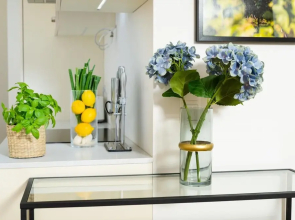 Deluxe Apartment With Terrace and Parking in the Historic City Centre of Krems an der Donau