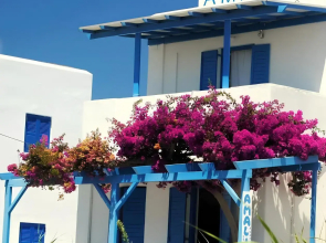 Amalia Studios