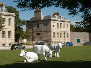 Royal William Yard Clarence