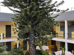 Hotel and Hostel Allende Morelia