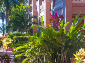 Infinity Bay Spa & Beach Resort