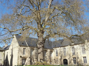 Apartment in the Historic Centre of Bayeux