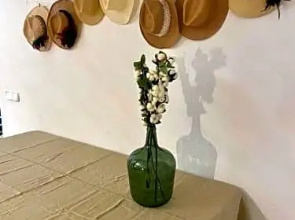 Villa El Paso