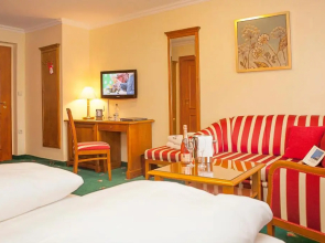 Hotel Wilder Mann