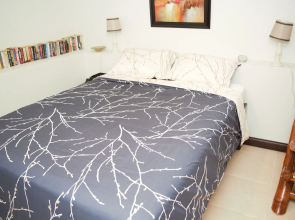 New Kingston Guest Apt at Evans