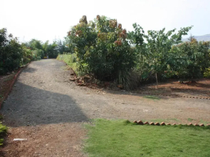 The Ark Wellness Retreat