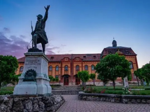 Hortenzia Vendeghaz Mor