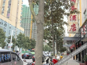 Tianhong Business Hotel