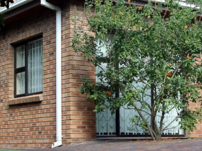 Sea Why (Adults Only)