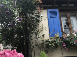 Le Jardin de l'Ill