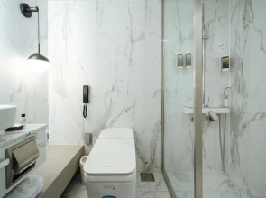 Hotel Eliena Seoul Gangnam