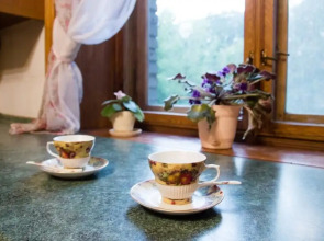 Версаль на Кутузовском