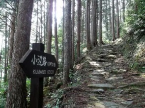 Totsukawa Onsen Minshuku Matsunoya