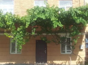 Edelweis Guest House
