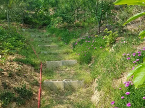 Taean Solbat Pension