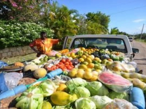 Tallawah Villa, Silver Sands Jamaica 7BR