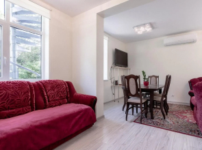 Basanavičiaus street apartaments with view No 1