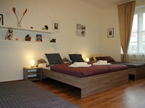 Spacious Prague View Apartment