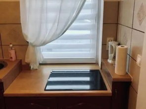 Ferienwohnung Willi I