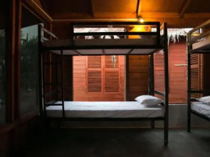 Wonderland Hostel