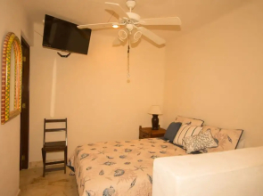 Casas TZL