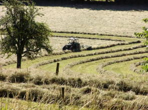 Morgentau Appartement