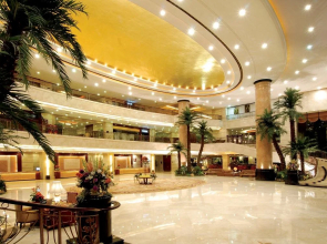 Yucca Jiangmen