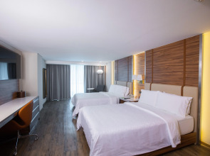 Holiday Inn Zona Centro by IHG