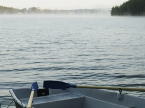 Вили Улей Карелия